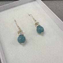 Load image into Gallery viewer, Aqua Earrings