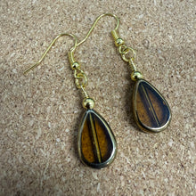Load image into Gallery viewer, Gold Plated Earrings