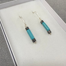 Load image into Gallery viewer, Aqua Earrings
