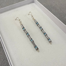 Load image into Gallery viewer, Aqua Earrings