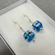 Load image into Gallery viewer, Aqua Earrings